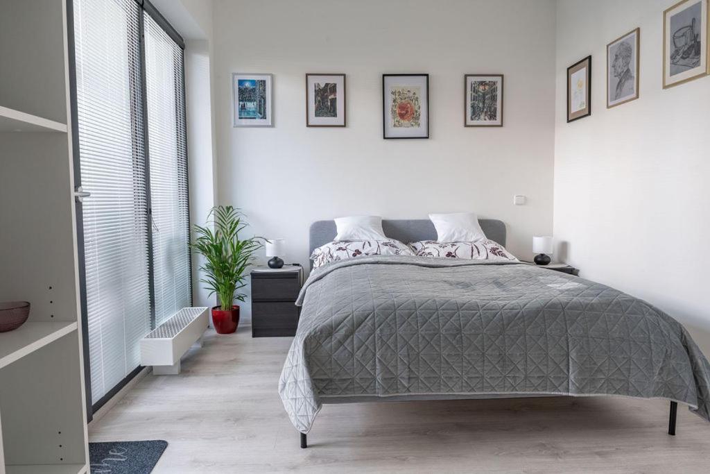 Nove Sady Olomouc Appartement Buitenkant foto